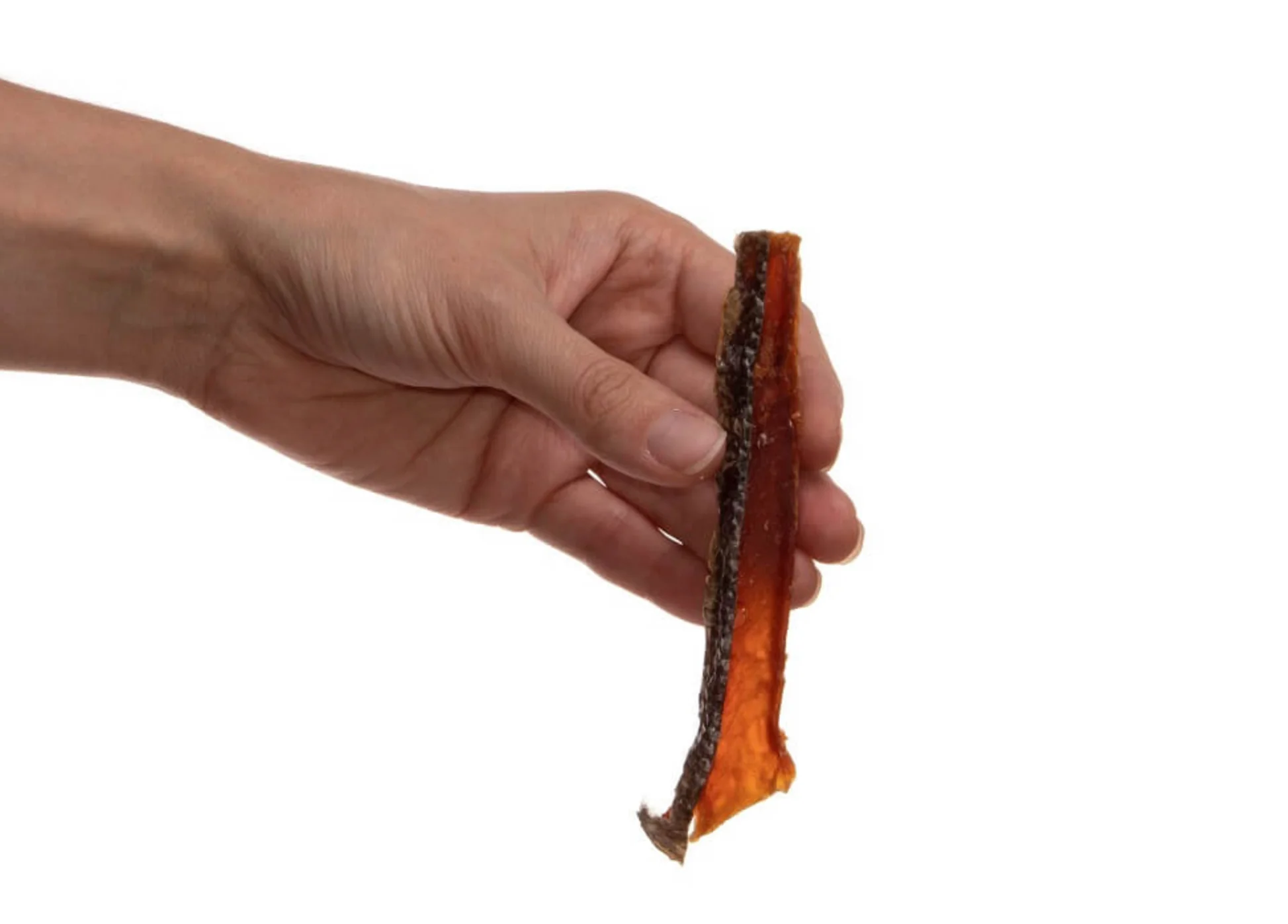 Wild Alaskan Salmon Frites Dog Treats (Made in the USA) - Image 4