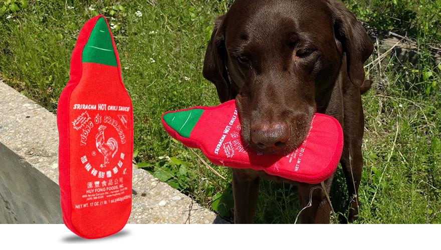 PRIDEBITES | Sriracha Bottle Dog Toy - Image 3