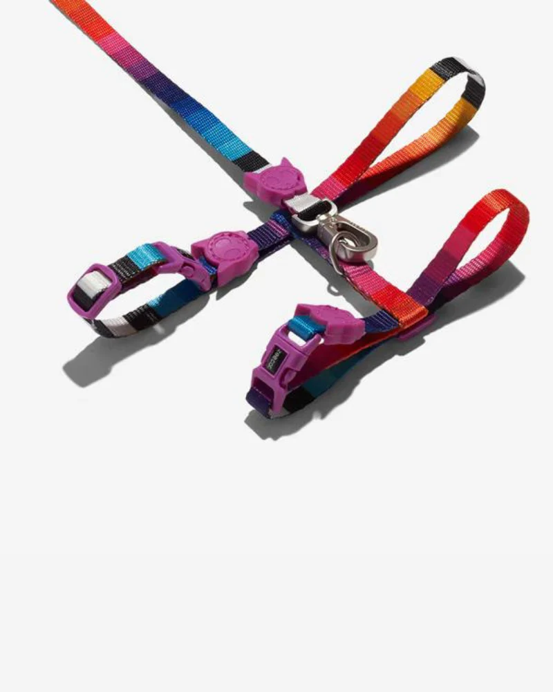 Prisma Cat Harness w/ Leash - Image 3