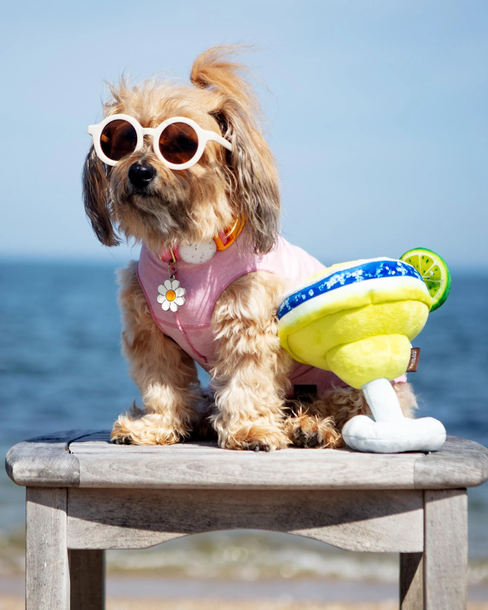 Pup-arita Margarita Squeaky Plush Dog Toy (FINAL SALE) - Image 2