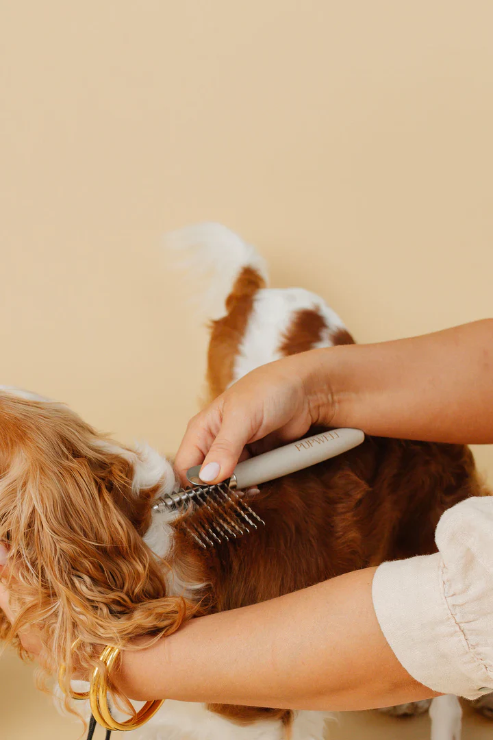 Pup Parent Essentials Grooming Kit (4-Piece) - Image 13