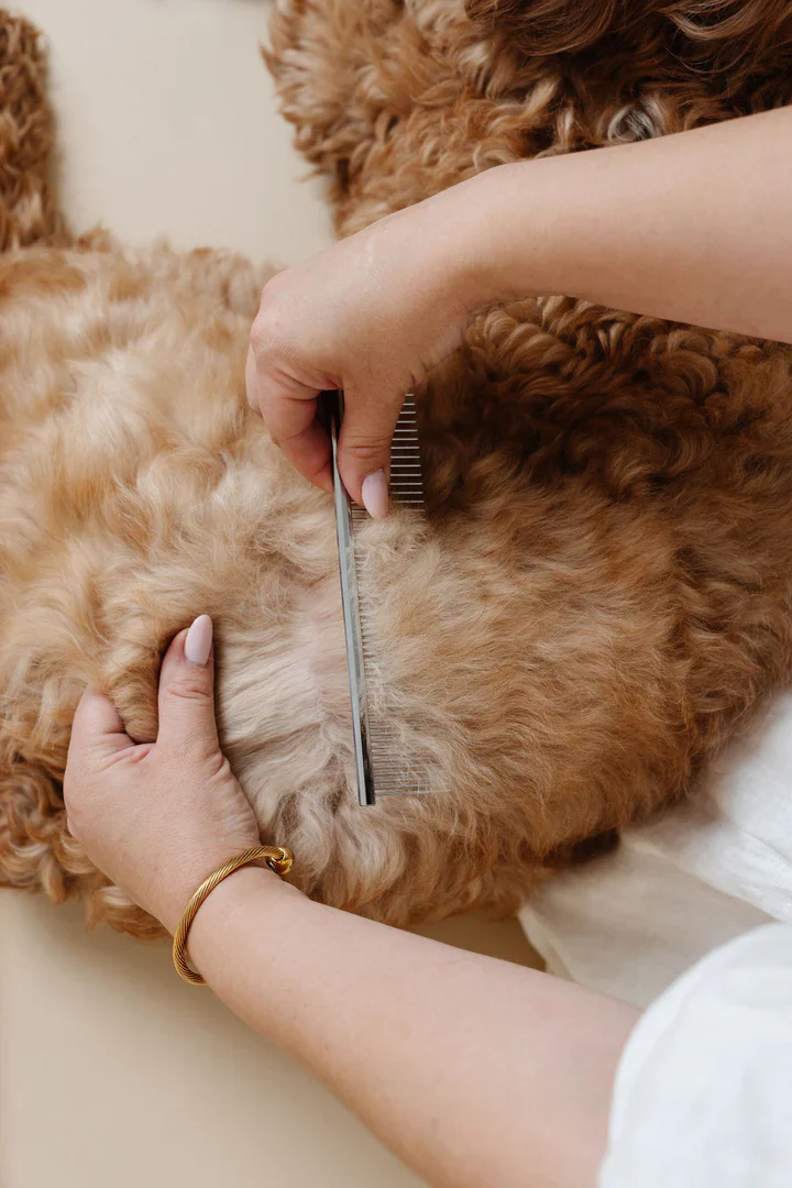 Pup Parent Essentials Grooming Kit (4-Piece) - Image 8