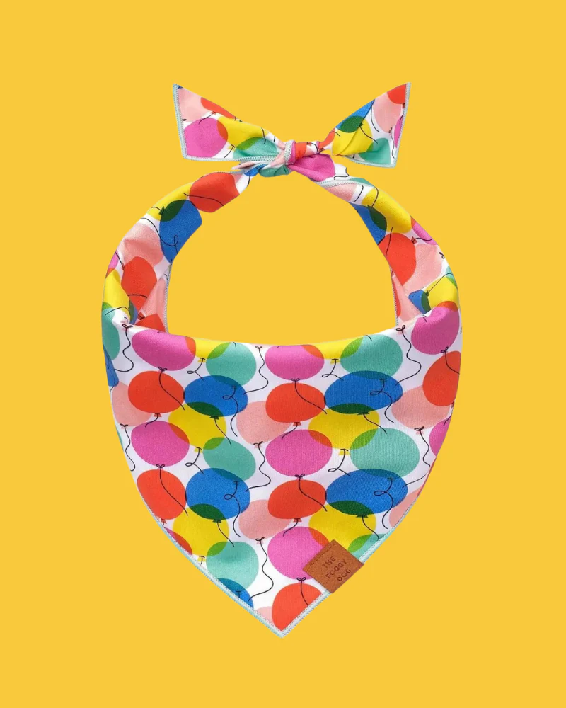 Pup, Pup, and Away Birthday Dog Bandana (Made in the USA)