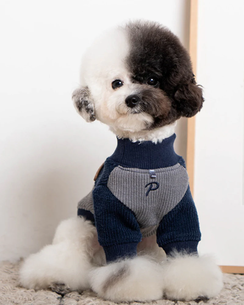 Ribbed Mock Neck Pullover Dog Shirt in Navy<br>((CLEARANCE)) - Image 5