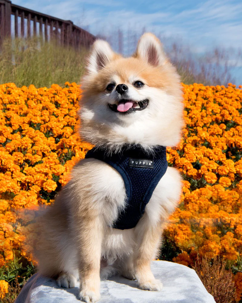 Soft Vest Dog Harness in Navy Blue - Image 2