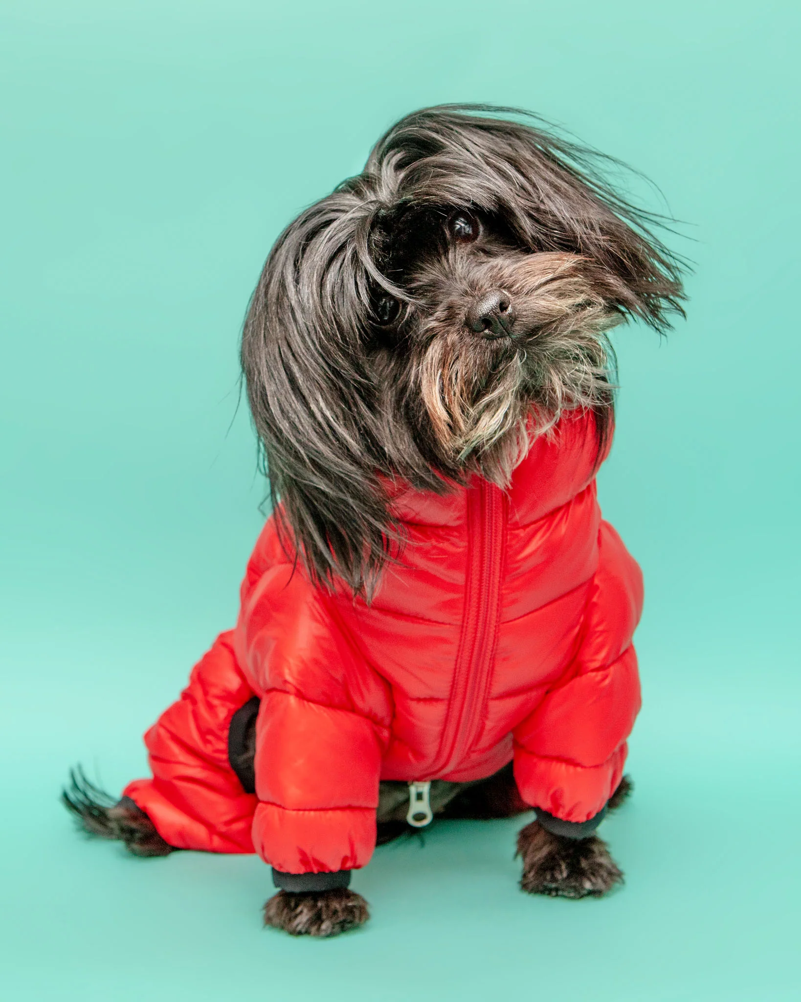 Ultra Light Winter Puffer Jumpsuit in Red - Image 2
