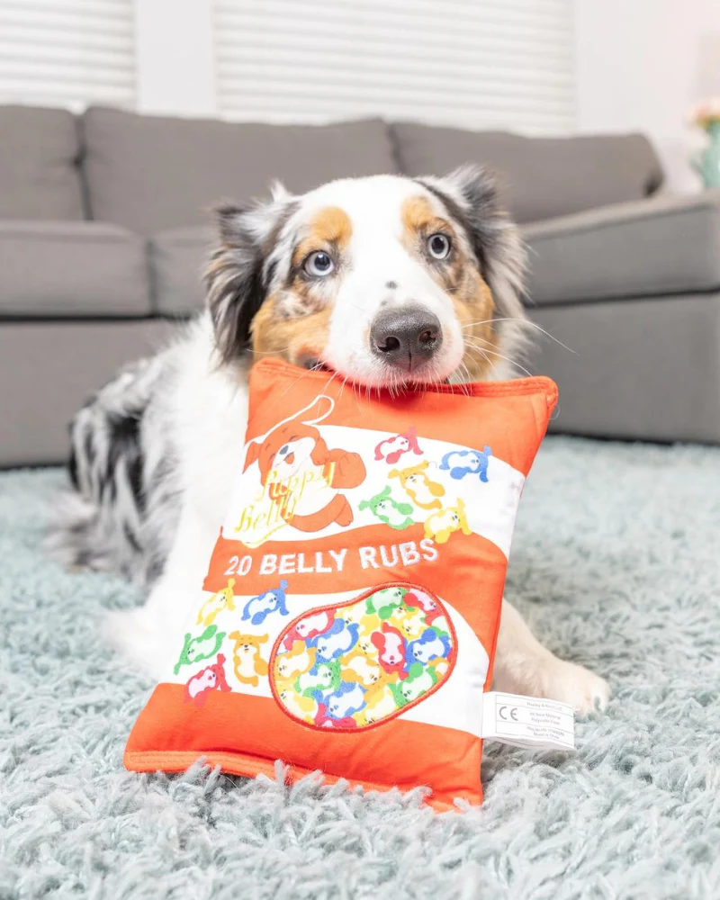Puppy Belly Plush Dog Toy (FINAL SALE) - Image 2
