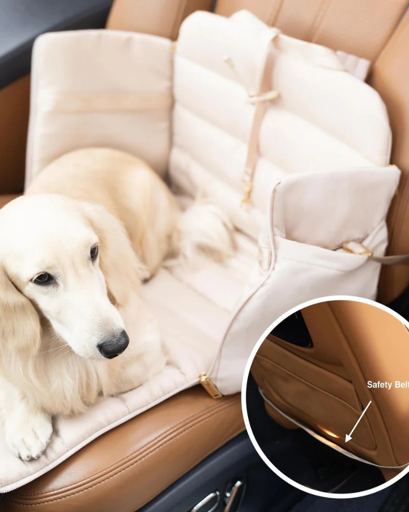Everywhere Convertible Tote Bag Pet Carrier - Image 12