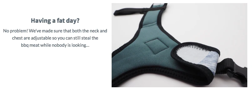PUPSTYLE | Greys for Days Harness - Image 8