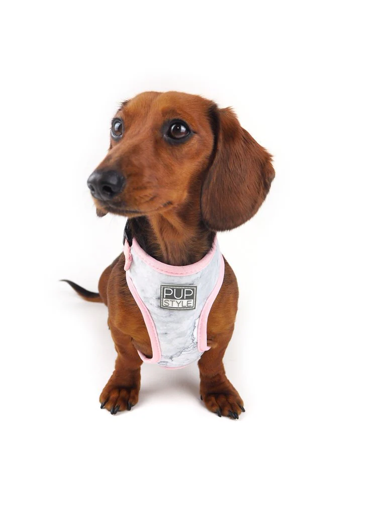 PUPSTYLE | Marble Luxe Harness - Image 4