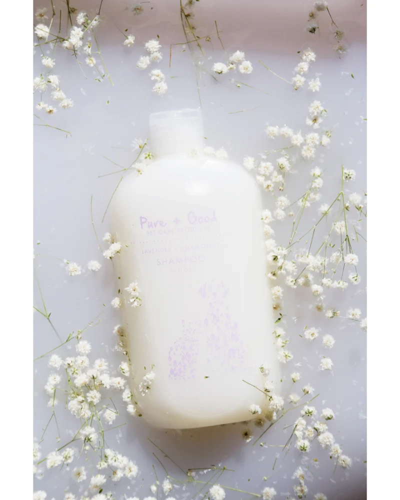 Purifying Conditioner for Dogs & Cats in Lavender + Chamomile - Image 4