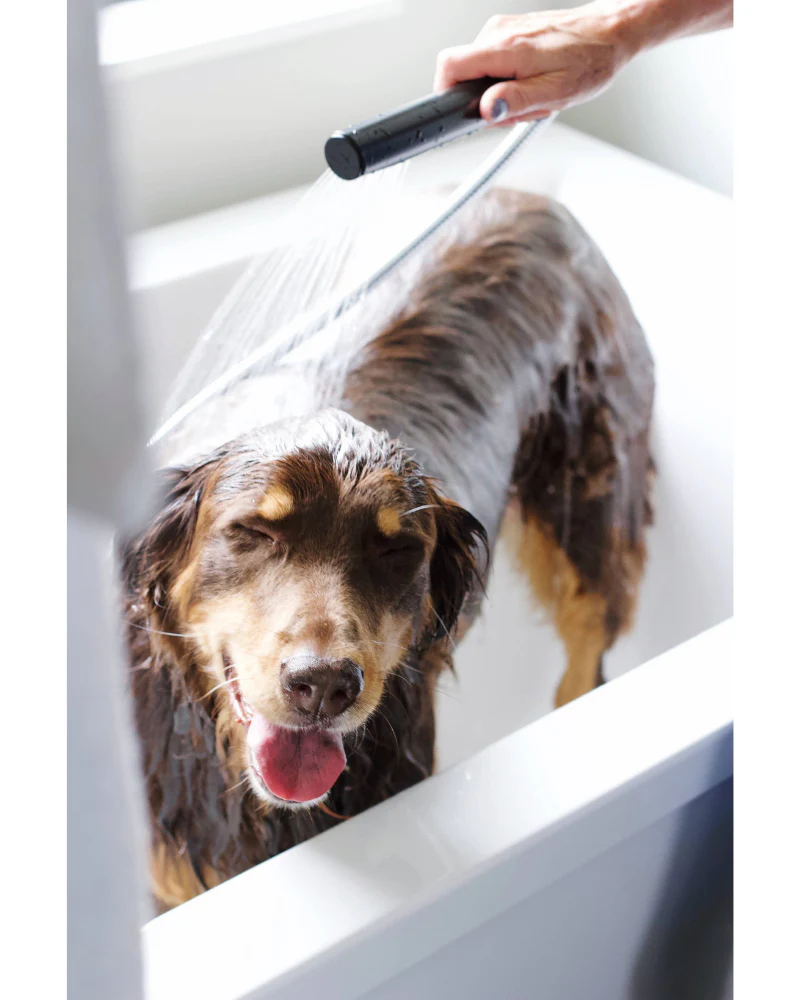 Purifying Conditioner for Dogs & Cats in Lavender + Chamomile - Image 5
