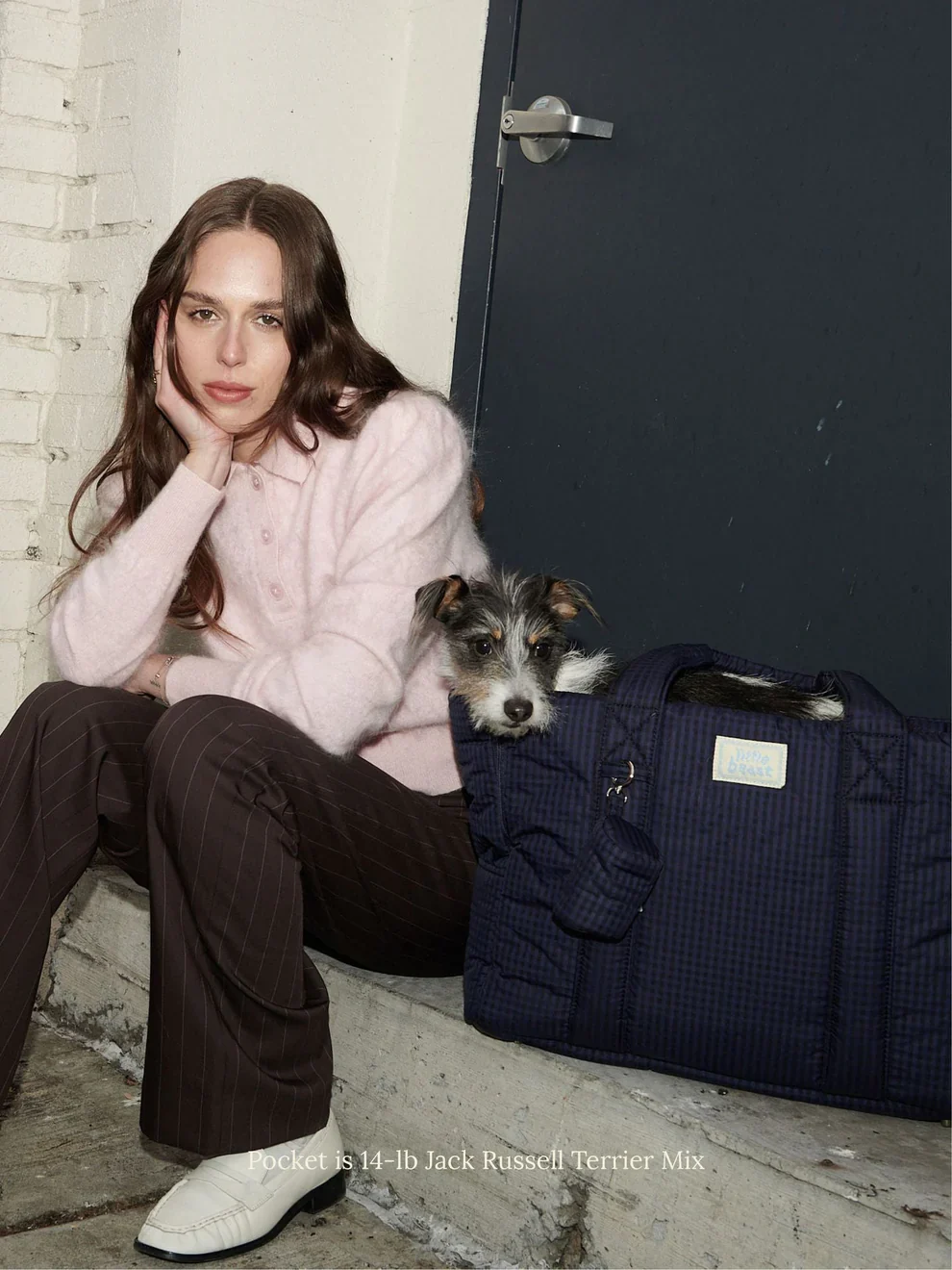 Purple Haze Dog Carrier - Image 5