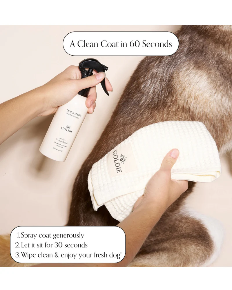 Quick Spritz Waterless Shampoo + Dog Deodorizer - Image 2