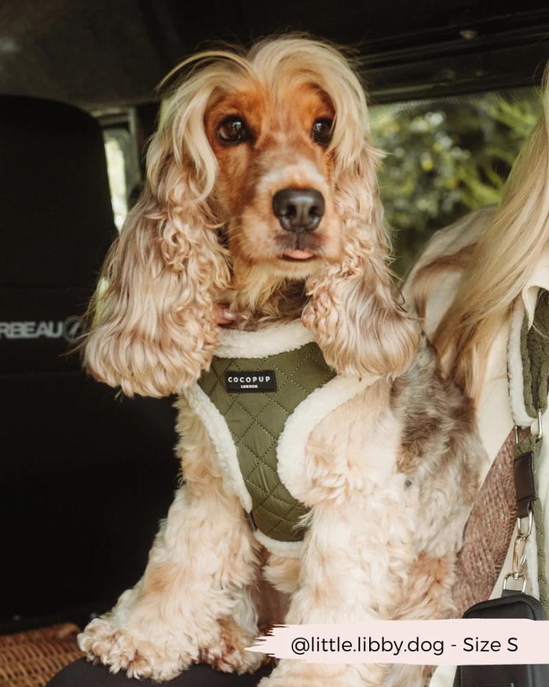 Quilted Adjustable Dog Harness in Khaki - Image 6