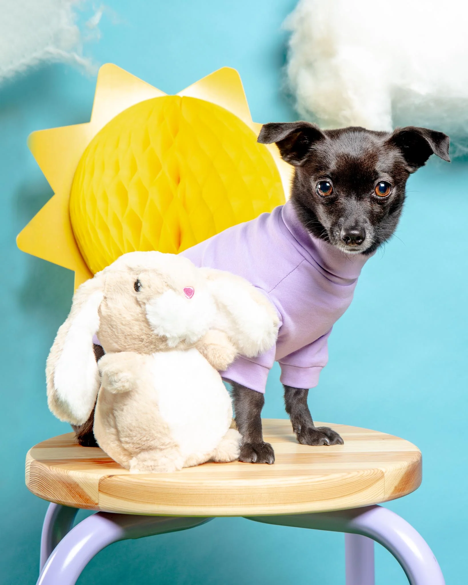 Rabbit Plush Dog Toy - Image 2