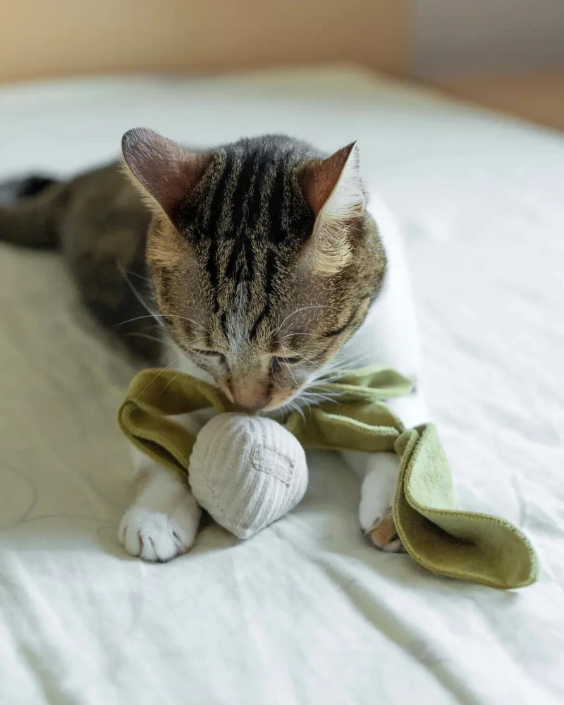Radish Catnip Toy - Image 3