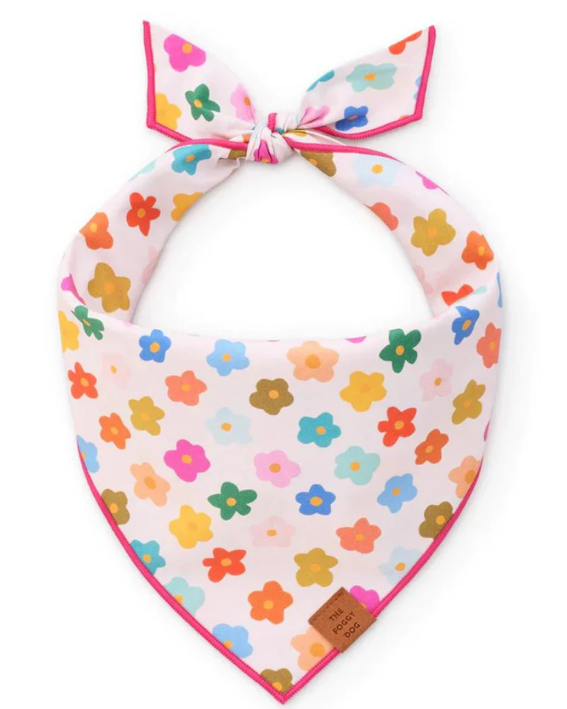 Rainbow Flower Dog Bandana (Made in the USA) (FINAL SALE)