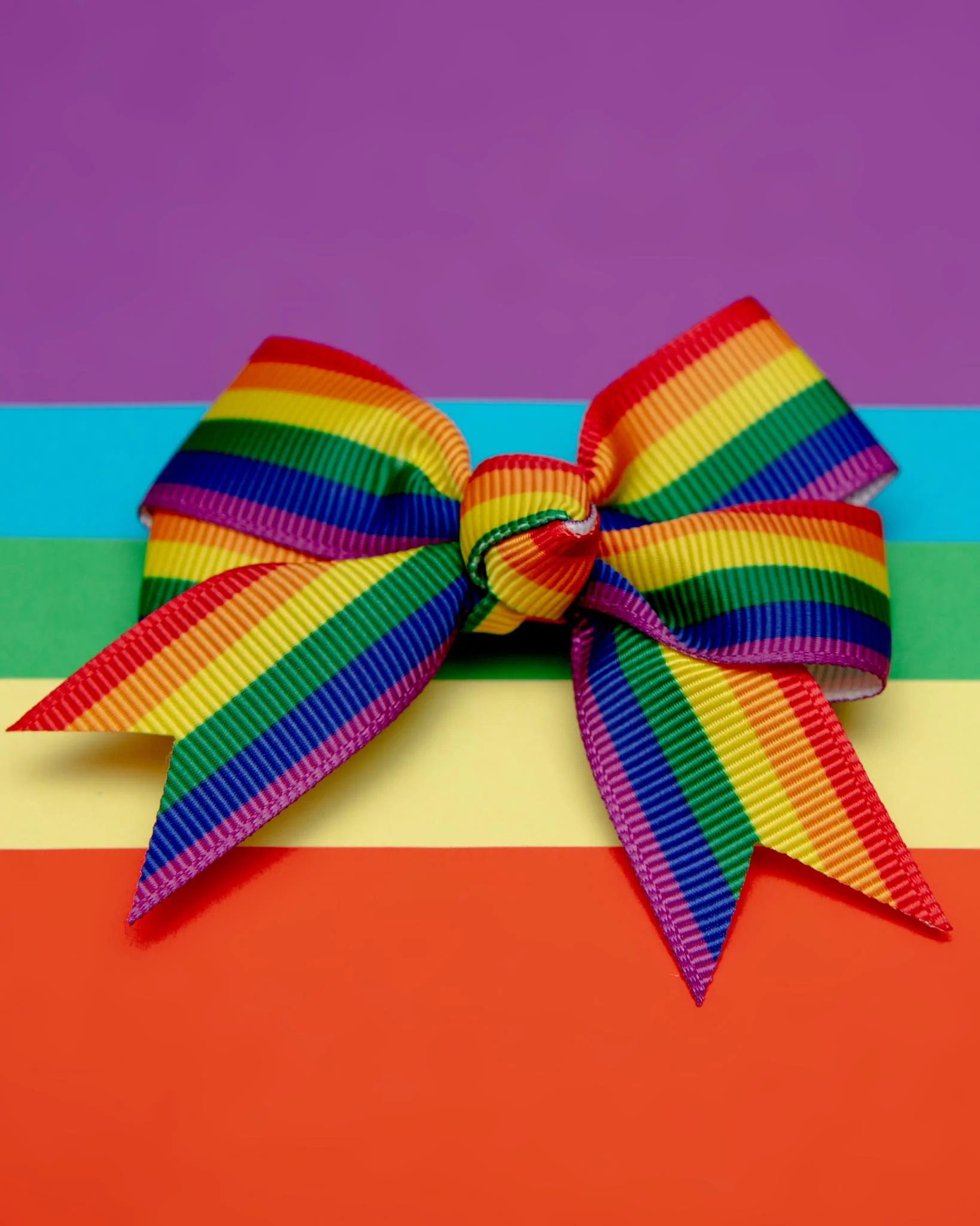 Rainbow Pet Hair Clip (Single) (FINAL SALE) - Image 2