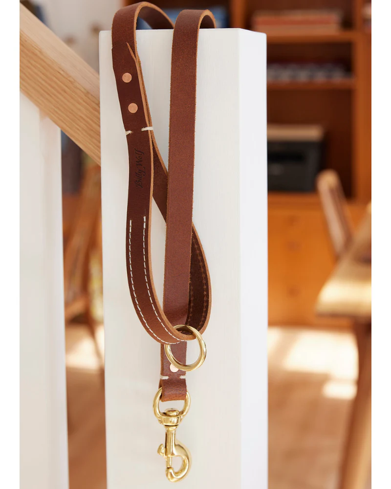 Rambler Standard Dog Leash in Terra