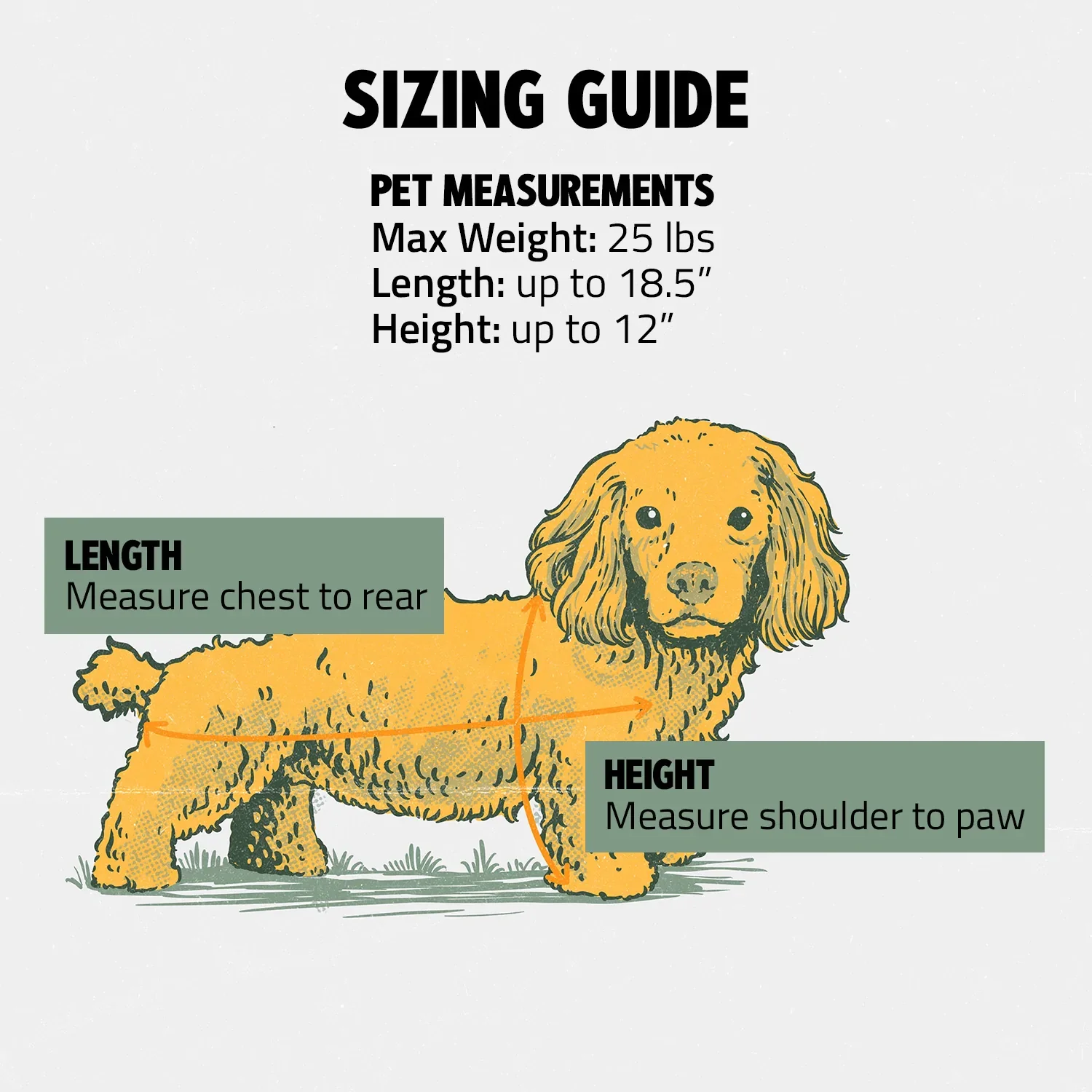 Ready-For-Adventure Pet Backpack (Airline Compliant) - Image 11