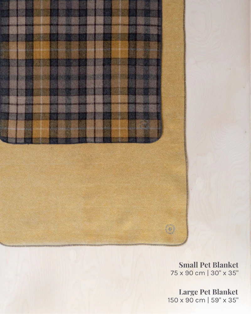 Recycled Wool Pet Blanket in Bannockbane Silver Tartan - Image 3