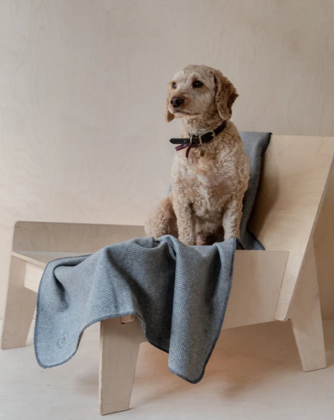 Recycled Wool Pet Blanket in Charcoal Herringbone