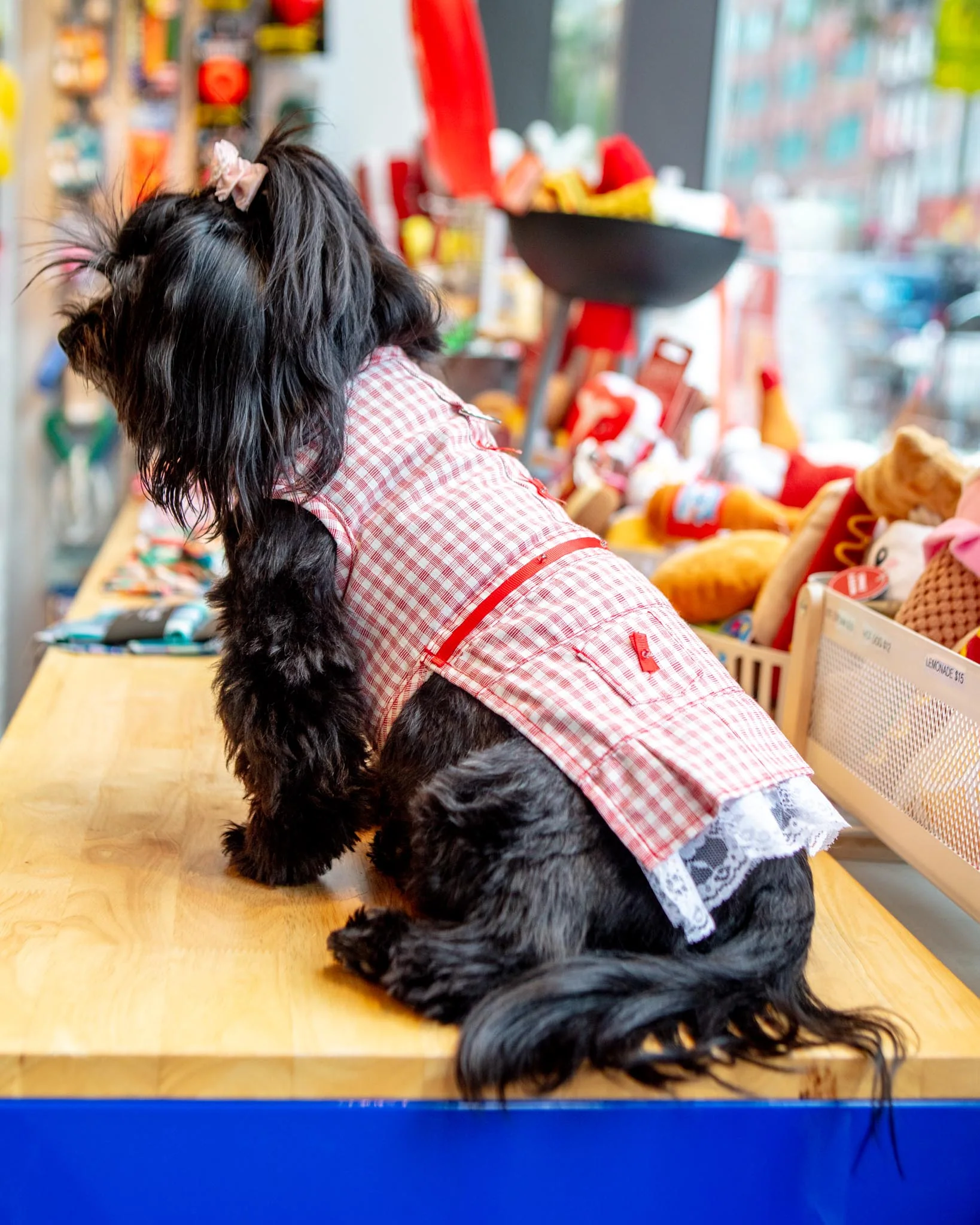 Red Check Picnic Dress for Dogs (FINAL SALE) - Image 3