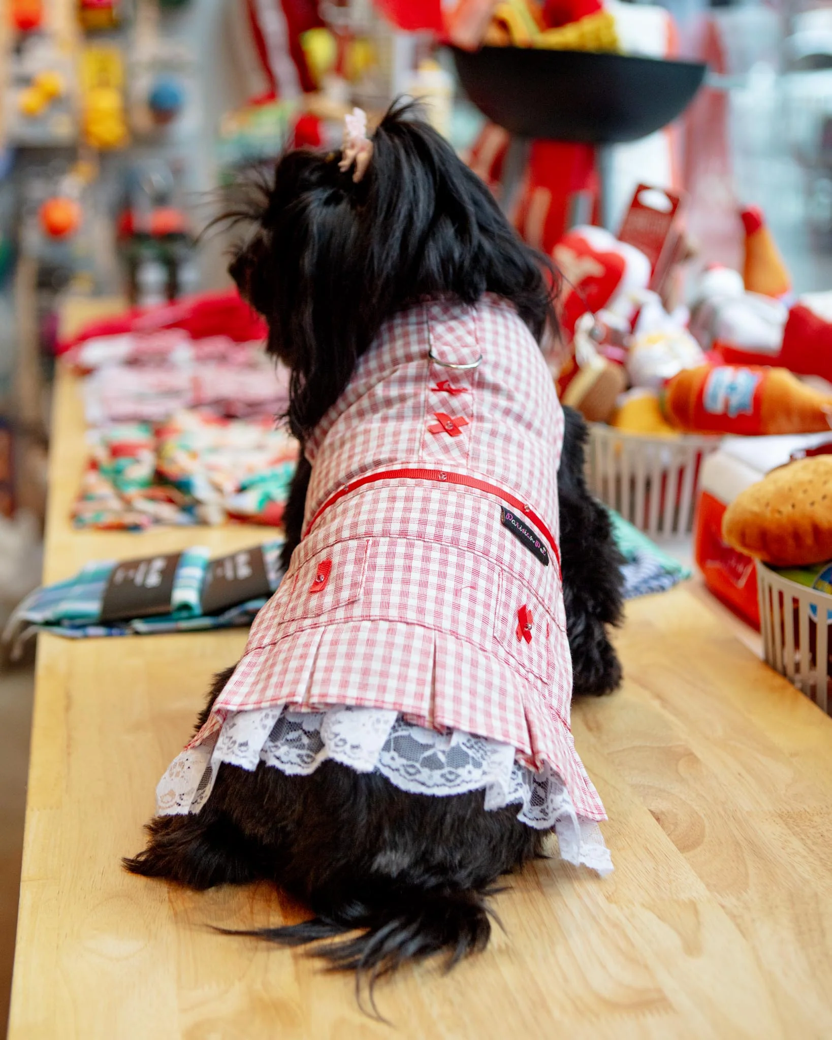 Red Check Picnic Dress for Dogs (FINAL SALE) - Image 5