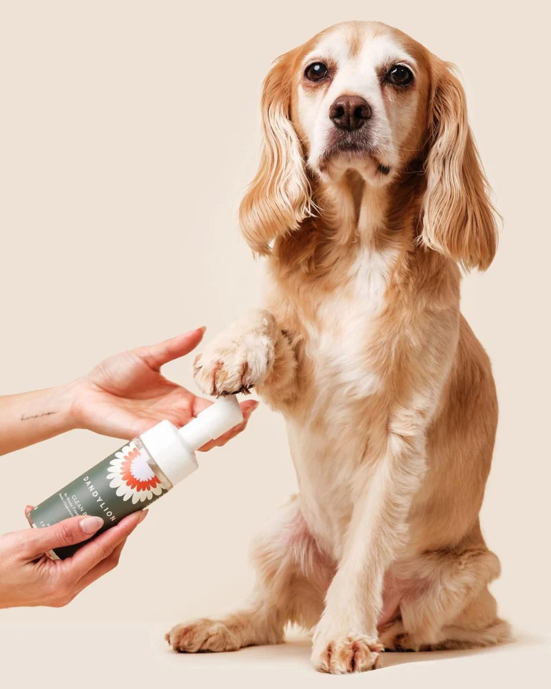 Refill - Clean Paws No-Rinse Foaming Cleanser for Dogs (Vegan & Cruelty Free) - Image 3