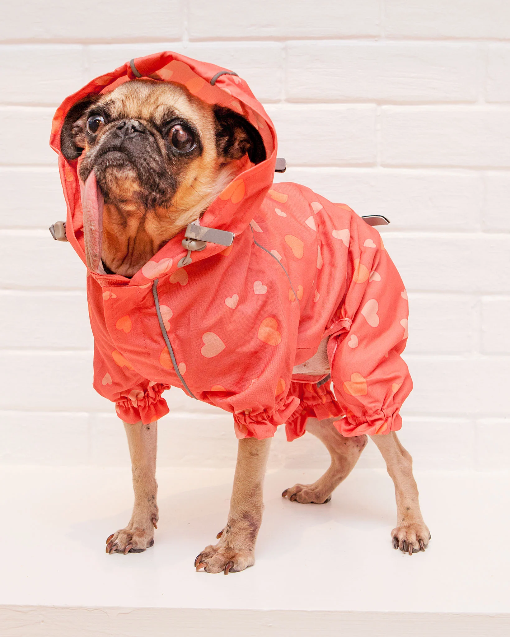 Reflective Dog Rainsuit in Pink Hearts << FINAL SALE >> - Image 3