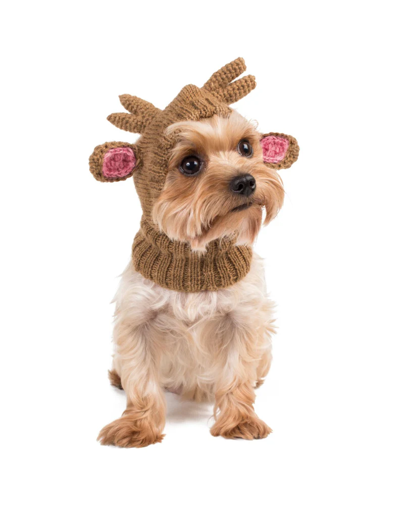 Reindeer Knit Hat for Dogs (FINAL SALE) - Image 3