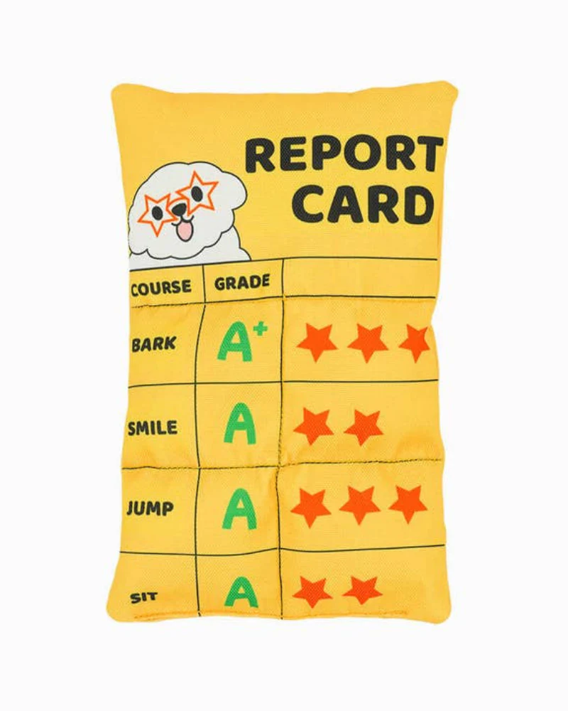 Report Card Plush Squeaky Dog Toy (FINAL SALE) - Image 2