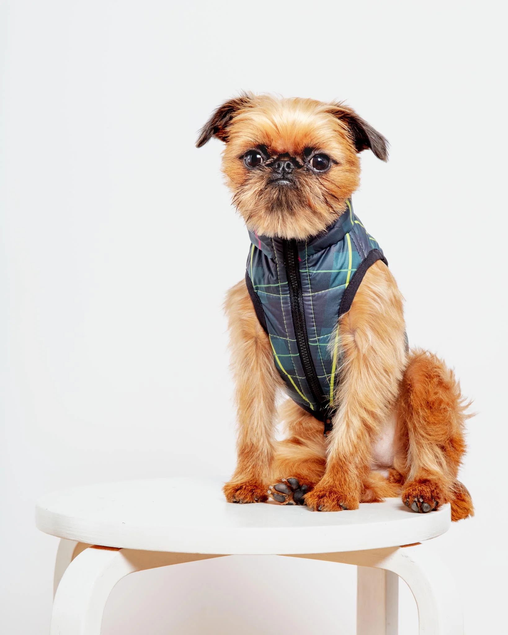 Reversible AiryVest in Hunter Plaid + Neon Yellow (DOG & CO. Exclusive) (FINAL SALE)