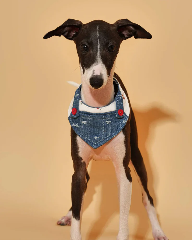Reversible Denim Overalls Dog Bandana (FINAL SALE) - Image 7