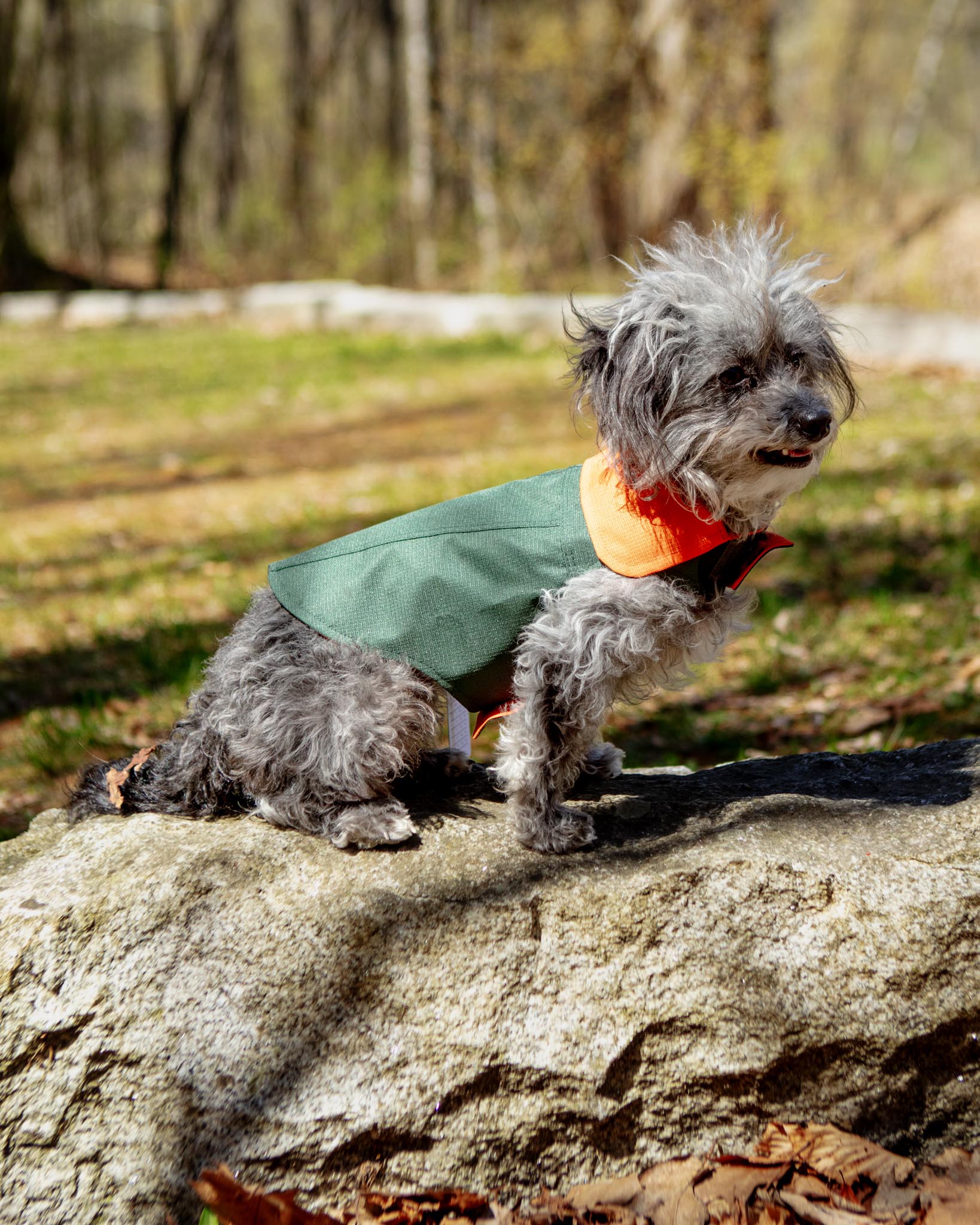 Reversible Dog Raincoat