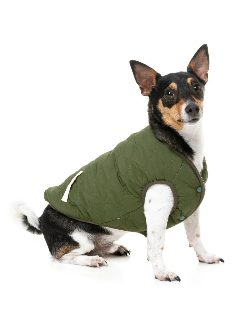 Reversible Nara Jacket for Dogs - Image 11