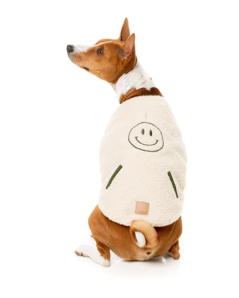 Reversible Nara Jacket for Dogs - Image 4