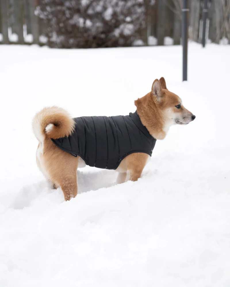 Reversible Puffer Dog Jacket in Black (FINAL SALE)
