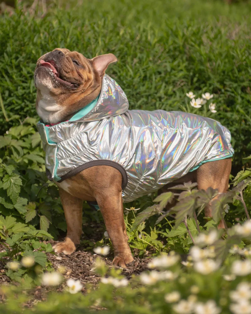 Reversible Waterproof Dog Raincoat in Iridescent + Turquoise - Image 2