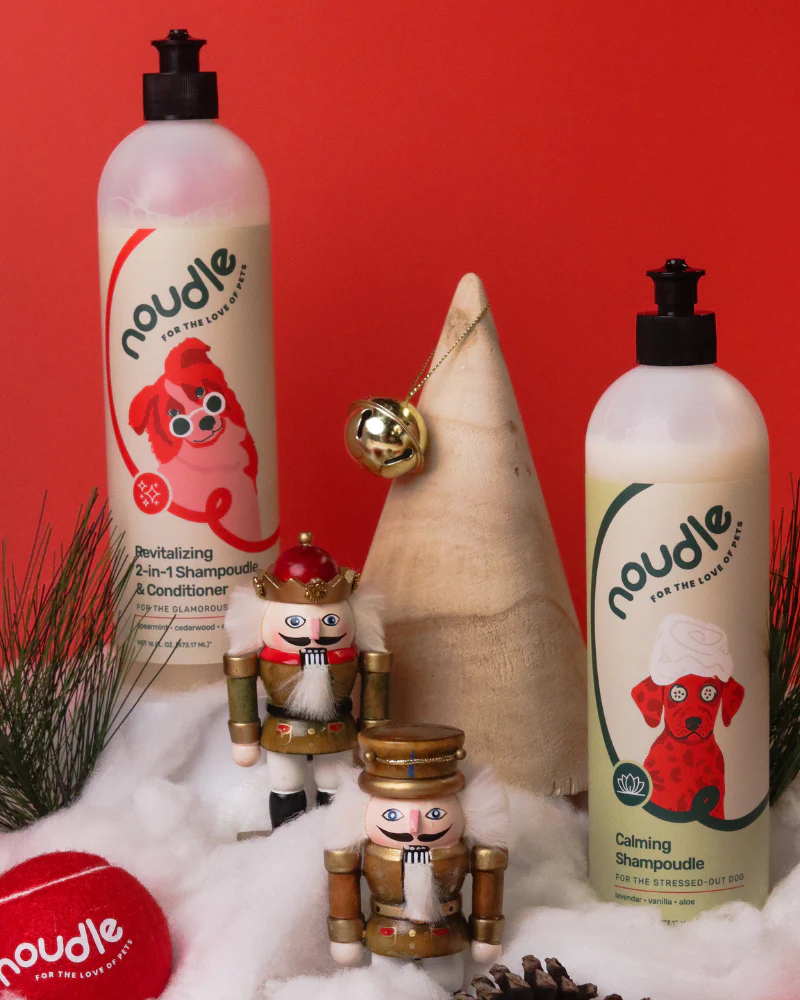 Revitalizing 2-in-1 Shampoudle & Conditioner  (Cruelty Free & Vegan) - Image 2