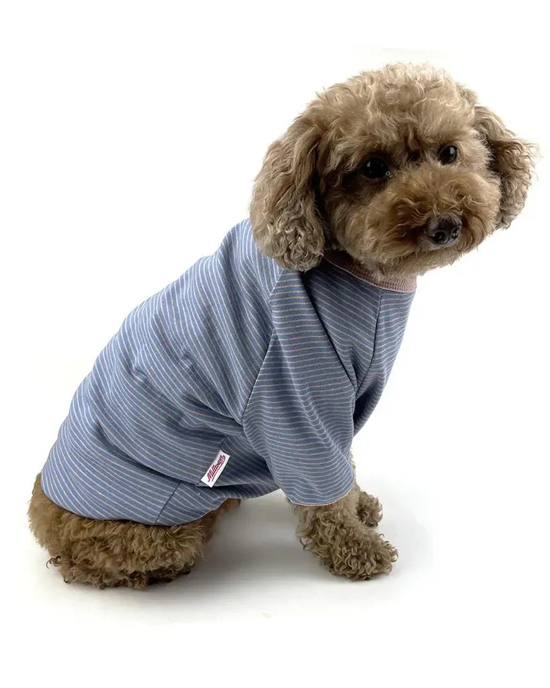 Rib Dog T-Shirt in Baby Blue & Pink Stripe (FINAL SALE) - Image 3