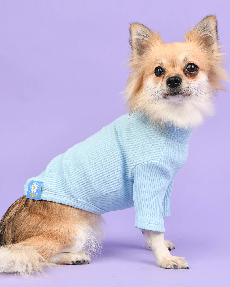 Ribbed Dog Turtleneck Tee In Light Blue