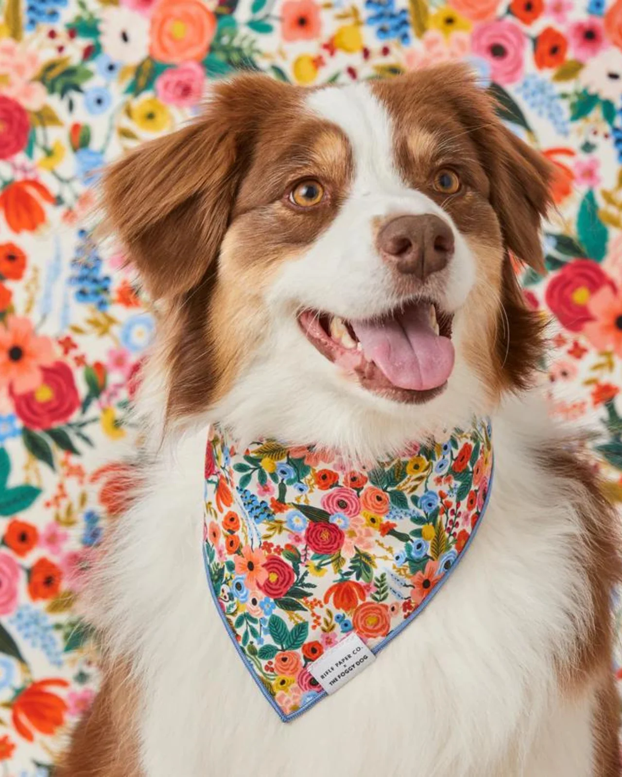 Rifle Paper Co. X Tfd Garden Party Dog Bandana (Made in the USA) (FINAL SALE) - Image 2