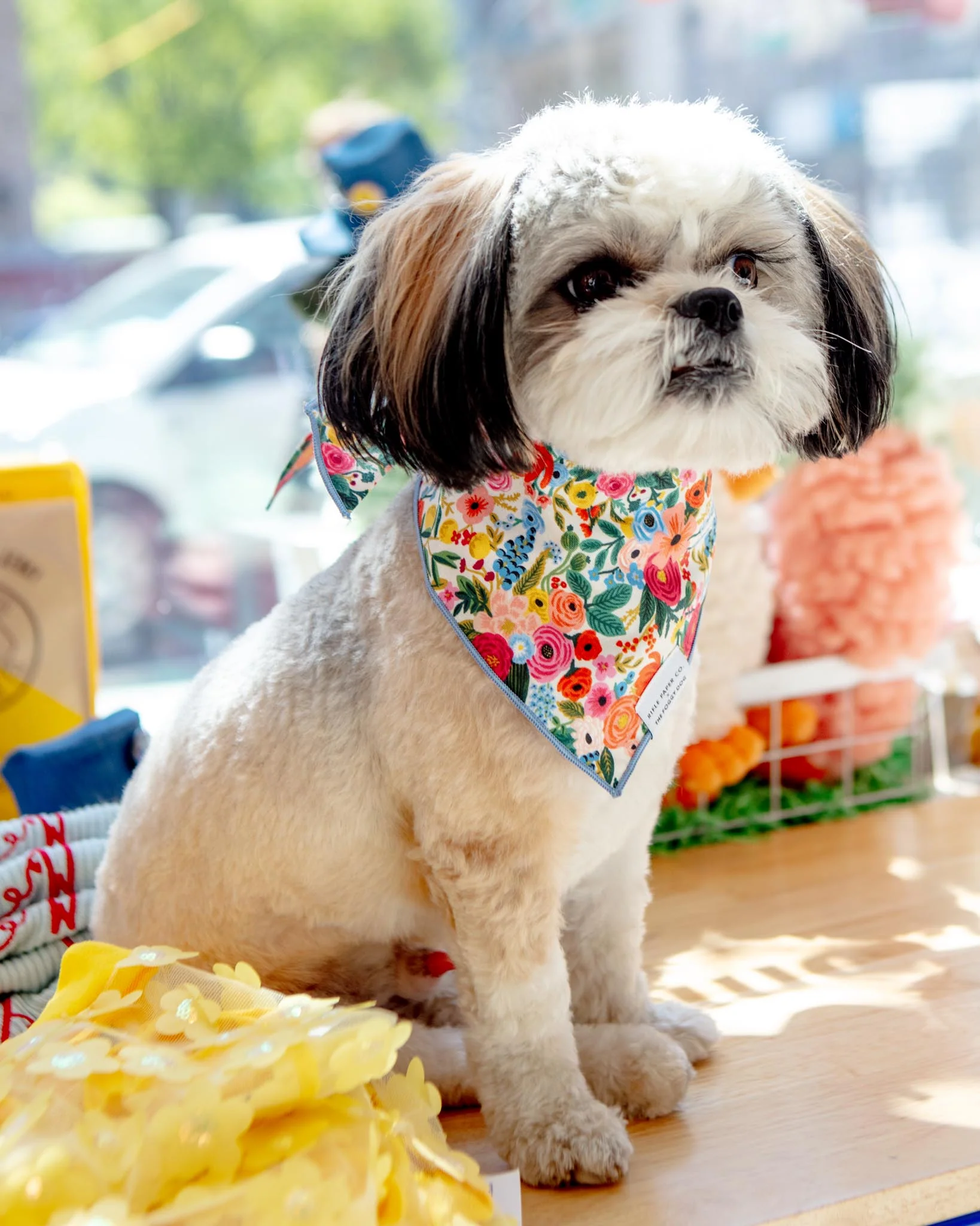Rifle Paper Co. X Tfd Garden Party Dog Bandana (Made in the USA) (FINAL SALE) - Image 3