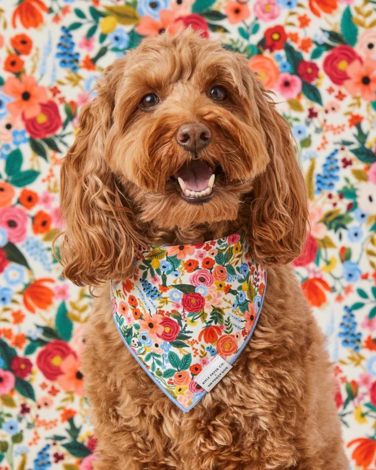 Rifle Paper Co. X Tfd Garden Party Dog Bandana (Made in the USA) (FINAL SALE) - Image 5