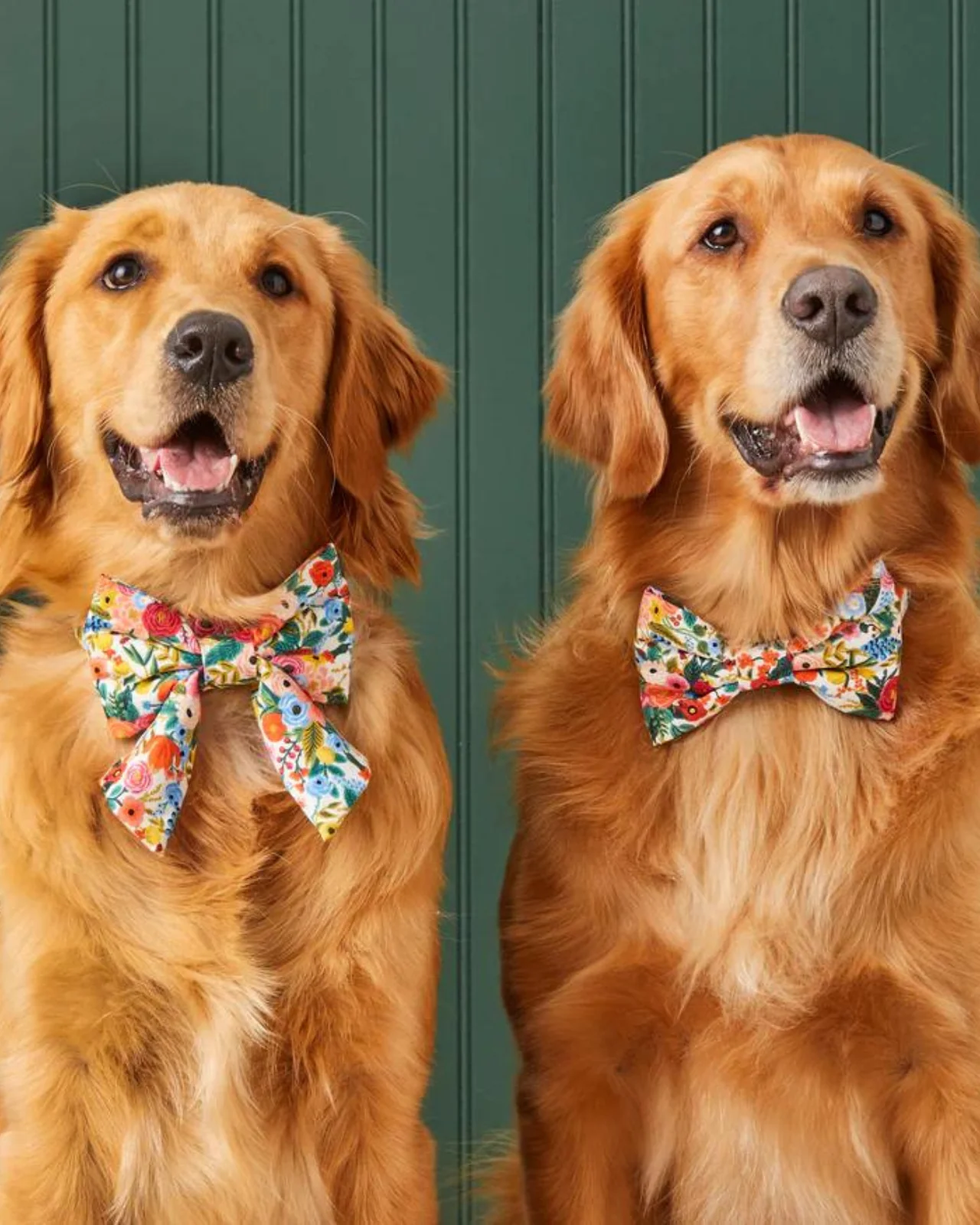 Rifle Paper Co. x TFD Garden Party Spring Lady Dog Bow (Made in the USA) - Image 4