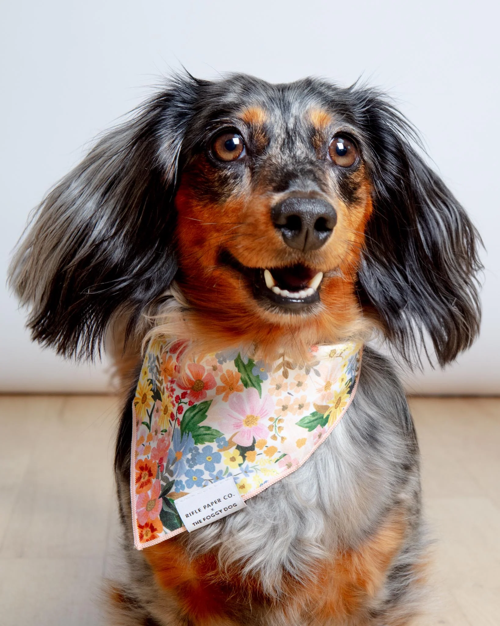 Rifle Paper Co. X TFD Marguerite Floral Dog Bandana FINAL SALE