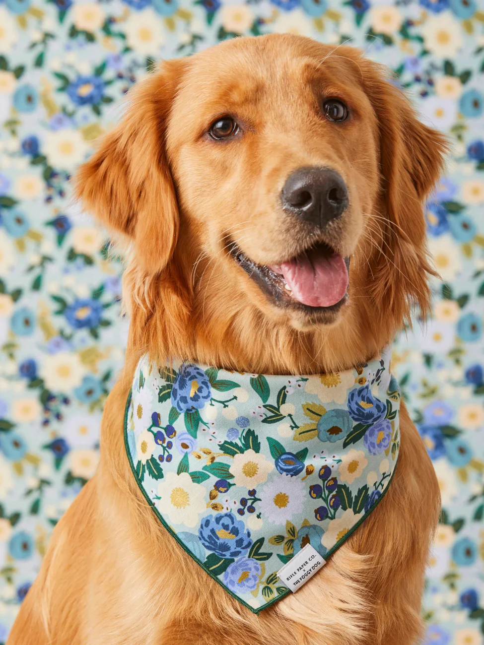 Rifle Paper Co. X TFD Vintage Blossom Dog Bandana (Made in the USA)
