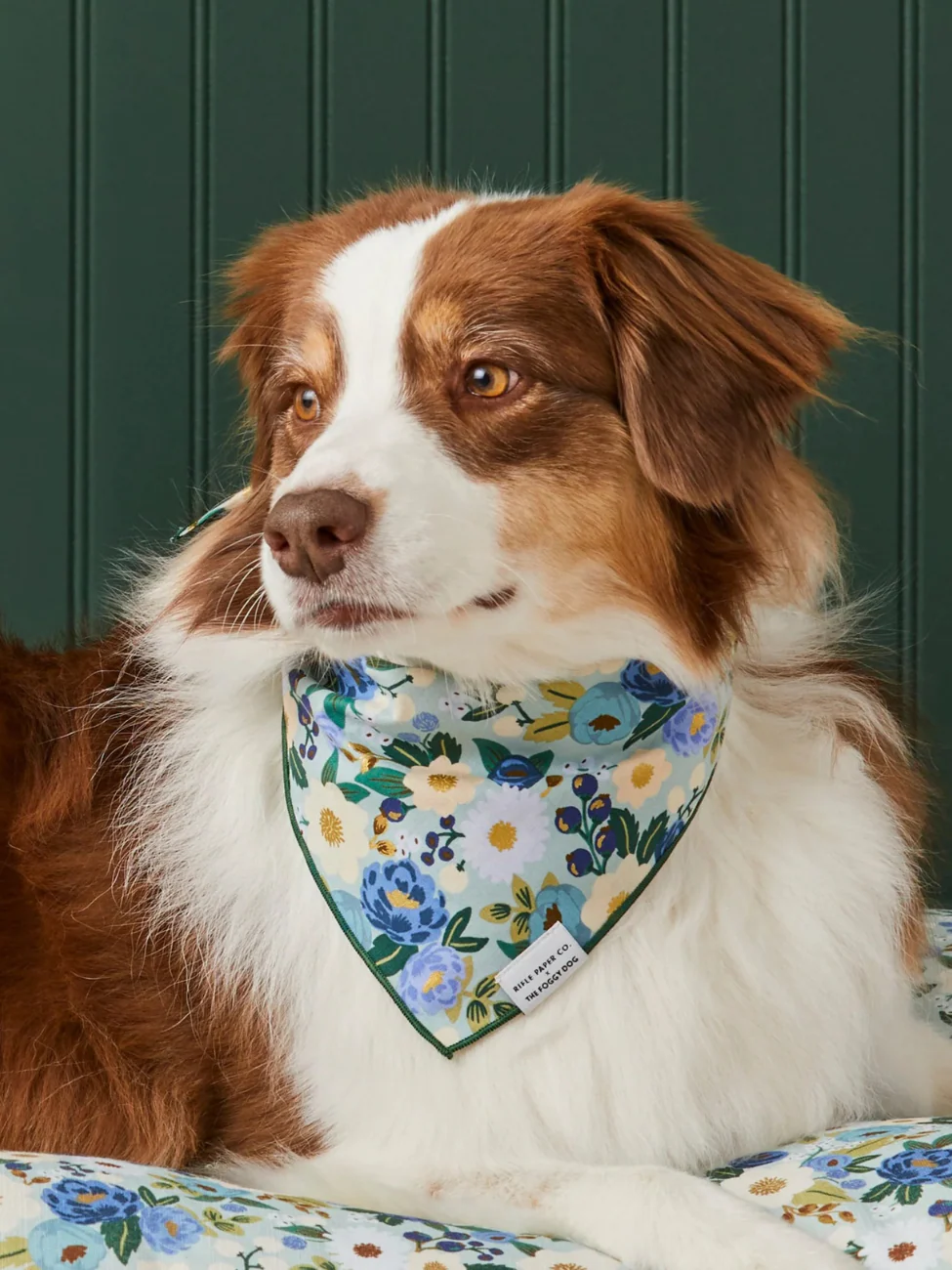 Rifle Paper Co. X TFD Vintage Blossom Dog Bandana (Made in the USA) - Image 3